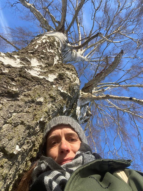 Kath and her birch tree friend on a clear winter's day