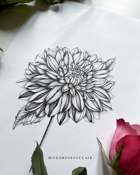 Dahlia fineliner drawing 