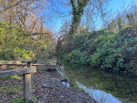 3 photos of the area of river set aside for education at Langford Lakes, Wiltshire. Images: Roland's Travels