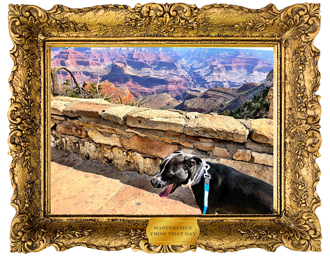 A handsome dog in some bad photos of the grand canyon