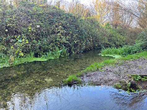 3 photos of the area of river set aside for education at Langford Lakes, Wiltshire. Images: Roland's Travels