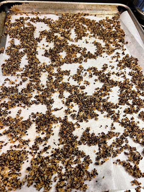 quinoa cooking
