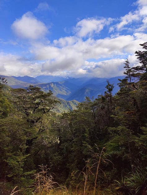 Various tramping images from Tableland to the Leslie River Valley, Kahurangi National Park