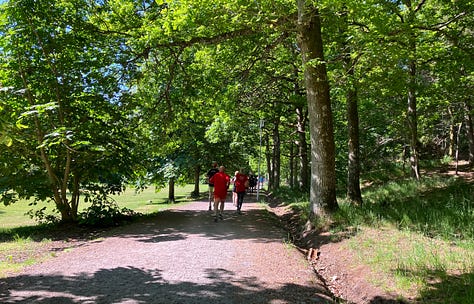 Hard surfaced path surrounded by trees