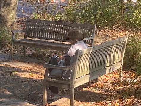 a woman walks towards a horizon of autumn trees, a woman sittings on a bench journaling, five women stand under a tree smiling