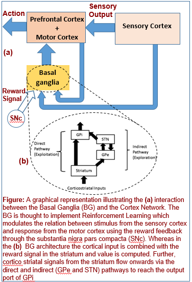 A Comprehensive Brain-inspired Computational Model for Spatial Navigation