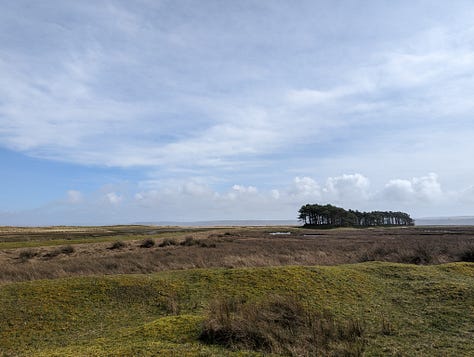 walk hike gower wales