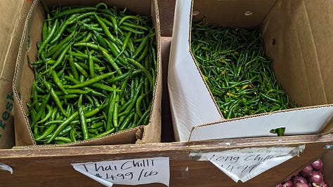 an image gallery of green chiles, fresh curry leaves, japanese citrus chili paste, grocery goodies taking up the floor, and a thrifted punch bowl and cups