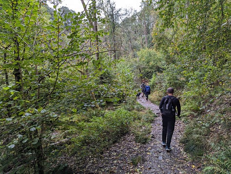 guided walk of the waterfalls of the BBNP with Wales Outdoors