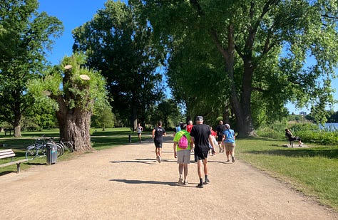 Runners on wide beige gritty paths under a blue sky