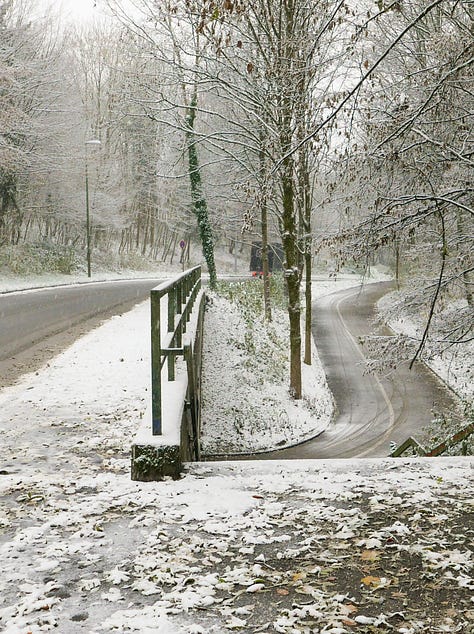 Snowy photos showing paths through an old cemetery and a wide, hostile looking ring road.