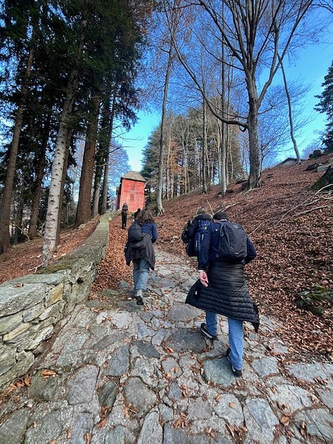 Top L to R: starting at piazza San Martino in Lemna, frost on the trail up, hiking and friends, antipasti e vino, stinco secondo, Coco licking the remains of my pizzocheri plate, homemade cakes for dolce, and the walk down at sunset, 