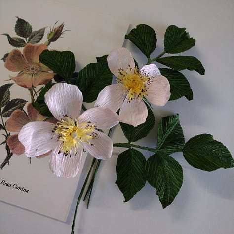 Pictures of wild rose and bluebell Craftkits showing the completed paper flowers