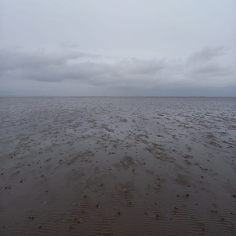 A row of tanks in a utility room; containers of seed balls; expanse of tidal mudflat; seed pillows piled up on beach; selfie with waterproofs and layers; two people with pottiputkis.