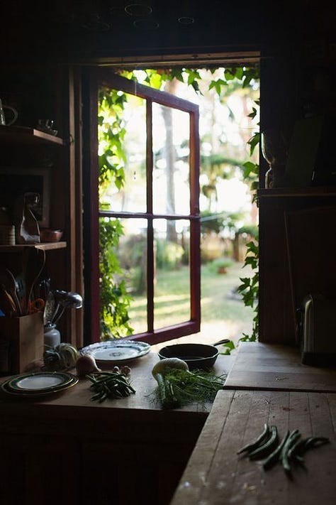 Italian style farmhouse kitchen. A cottage core window open with food on the bench. A loungeroom with leather chairs and a fireplace and library. 