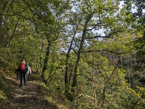 guided walk of the six waterfalls in the Brecon Beacons with Wales Outdoors