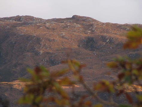 The brown and gold background of the Scottish hills highlights the change in seasons, from summer to Autumn, with the leaves changing to browns and yellow. The green moss and lichen covers all the rocks and trees, with low cloud obscuring the tops of the hills and mountains. 