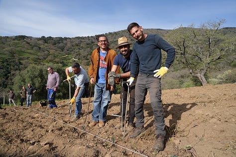 planting vineyards in Sardinia