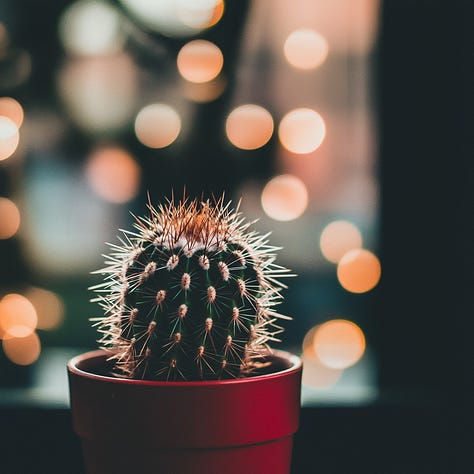 Rabbit, cyclist, cactus + bokeh prompt in Midjourney