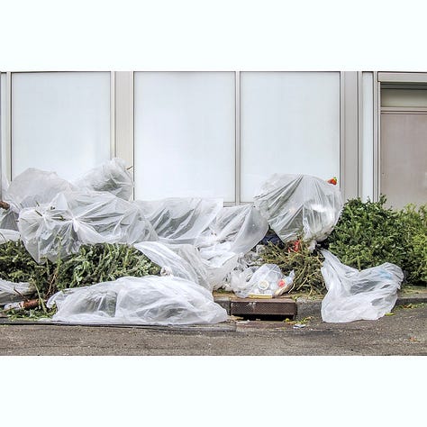 photographs of trash cans, plastic wrapped Christmas trees
