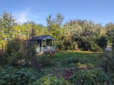 A community garden featuring bee & bee (bug hotel), vegetable patches, willow structures and signage listing information for volunteers and visitors 