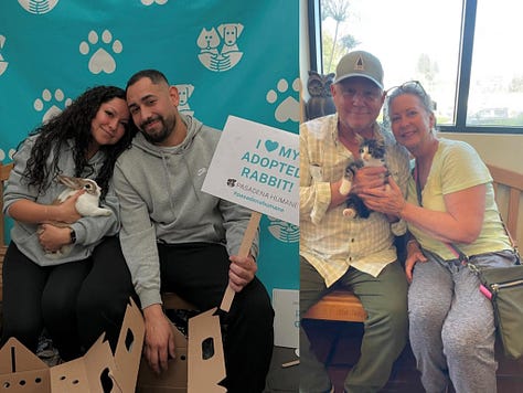 Pasadena Humane Adoption Photos