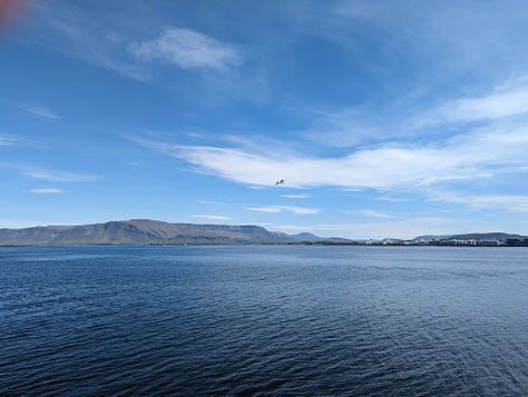 a walking tour of reykjavik