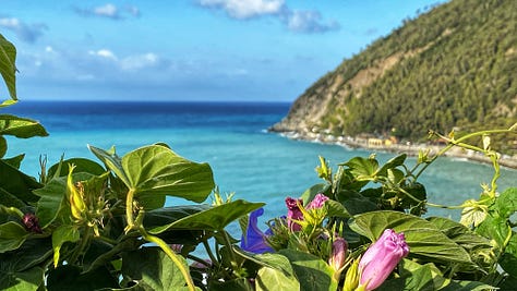 Images of the coastal topography from an Italian village on the Mediterranean. 