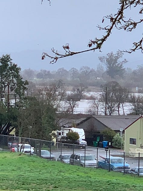 Laguna de Santa Rosa near Sunset Ave