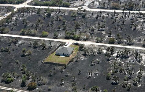 Group of photos displaying firefighters and damage caused by the 2008 Palm Bay Mothers Day fires.