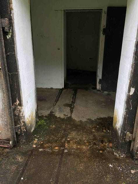 rusted doors and damp hallways