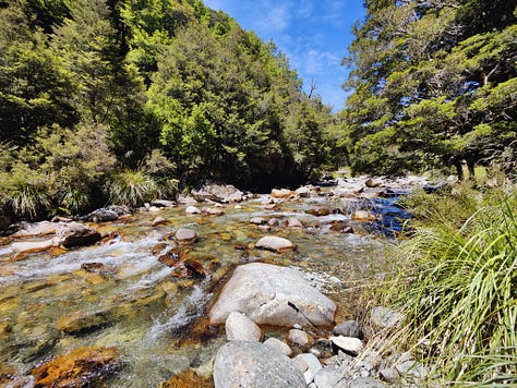 Various images from Wangapeka hiking route between Wangapeka Saddle and Taipō Hut