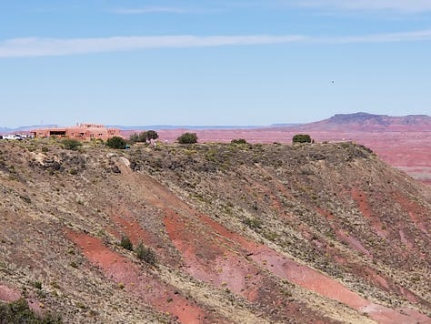 Petrified trees in the Painted Desert, Arizona, courtesy of the author