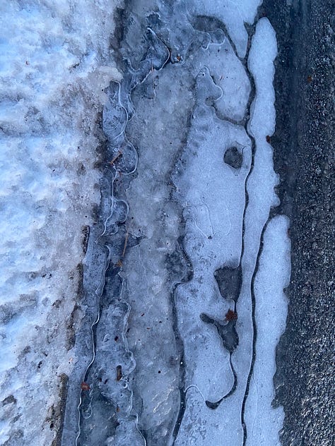 Absorbing patterns to hold the attention: Yucca in snow, Cracked pavement, and Thin ice