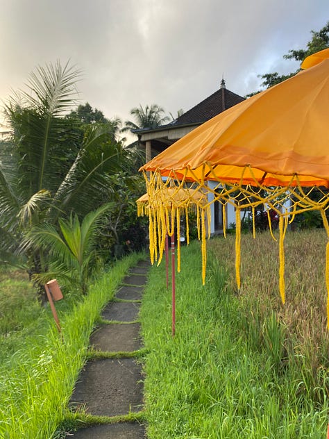 Images of Ubud with green and orange themes. An orange flower on a green stem, with green fields in the background, some green leaves shooting up into the sky and a bright orange umbrella with a pathway cutting through the green fields.