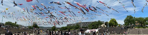 All different photos of Japanese koi fish kites