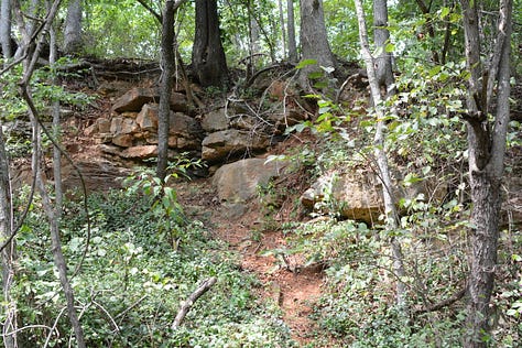 A creek, a path in the woods, and a rocky cliff