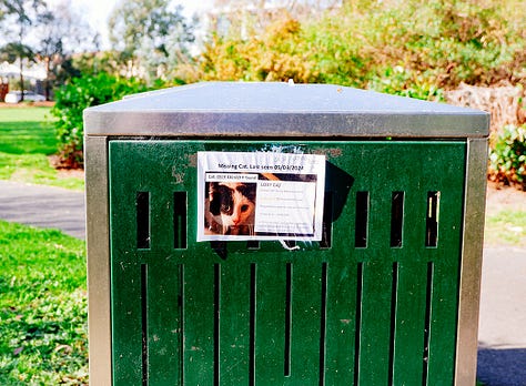 many photos of missing cat signs in different places.