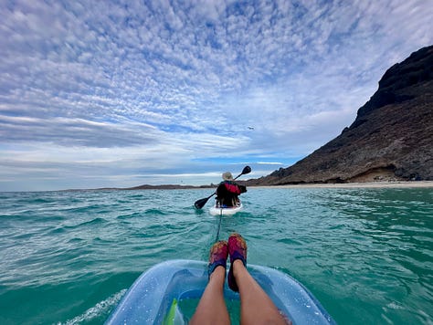Photos of Liz, Seth, and the dogs in Baja