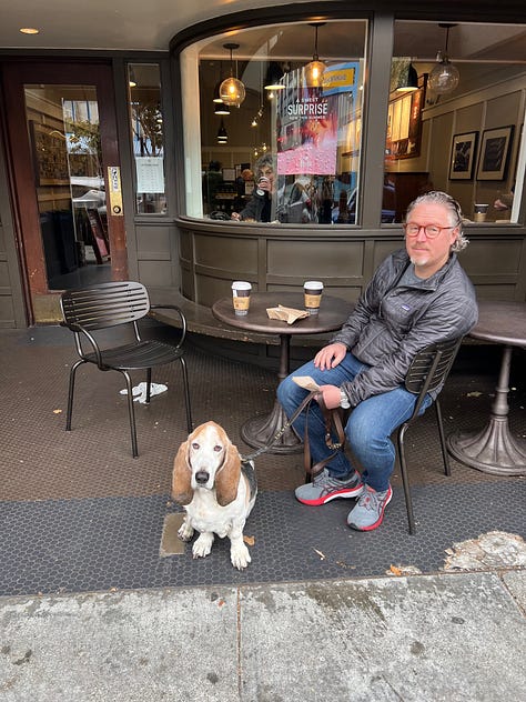 photos of Toby the basset hound