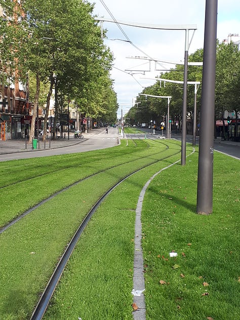 Images of LRT tracks amid grass, with an LRT train approaching.