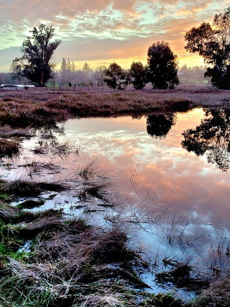 Laguna de Santa Rosa reflecting the clouds and moon