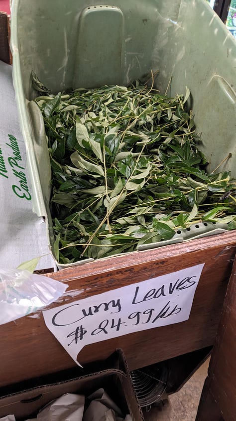 an image gallery of green chiles, fresh curry leaves, japanese citrus chili paste, grocery goodies taking up the floor, and a thrifted punch bowl and cups