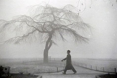 Photography by Robert Frank