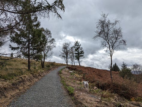 guided walk of the waterfalls of the BBNP with Wales Outdoors