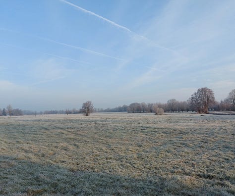 Small road into the countryside, winter, frosty