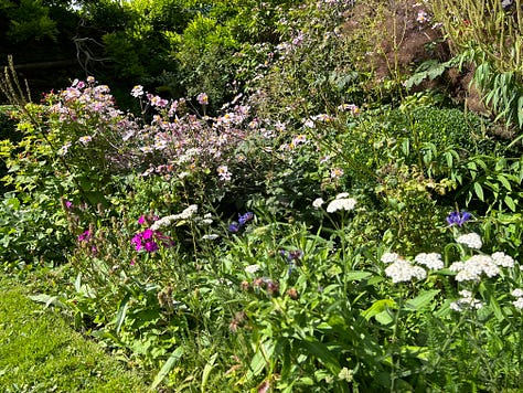 Photos of some of the flowers at Corsham Court. Images: Roland's Travels