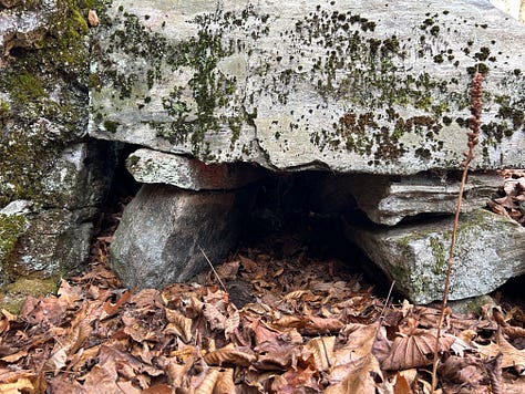 A stone construction in the woods against a cliffside.