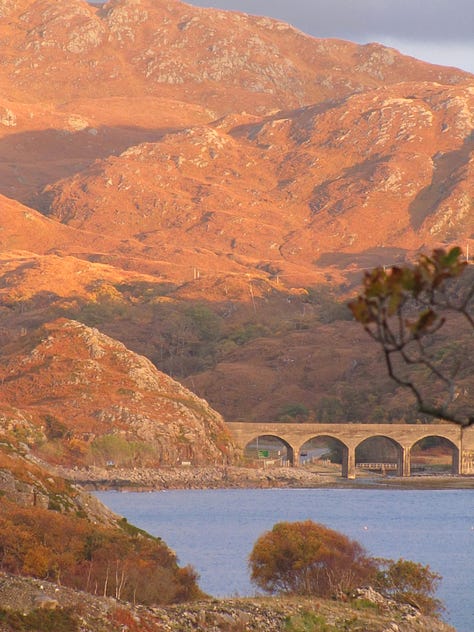 Photographs show the colours of the fall in Scotland, autumn leaves and heather in full colour, with the grey of the deep sea loch also visible, leaves and branches and trunks of oak trees are silhouetted. . One photograph shows a railway viaduct.