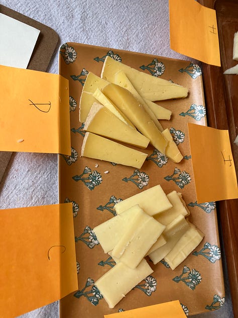 Chedder, gouda, and other cheese for tasting